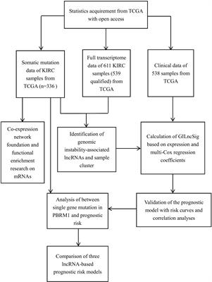 Development of genomic instability-associated long non-coding RNA signature: A prognostic risk model of clear cell renal cell carcinoma